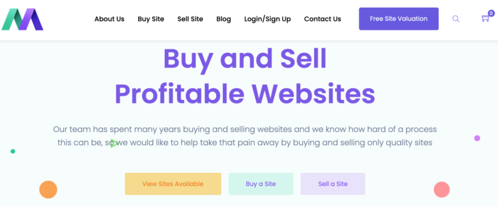 Sell Blog and Website 