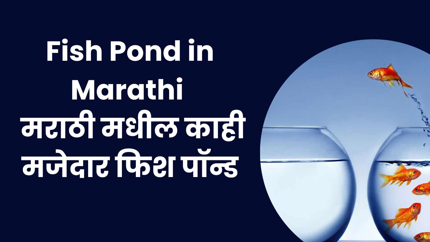 Fish Pond In Marathi 
