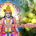 Amalaki Ekadashi : विवाह विलंब, वैवाहिक कलह, संतती सुखासाठी आमलकी एकादशीला करा हे उपाय